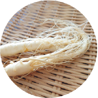 オタネニンジン根エキス